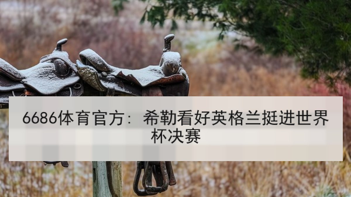 6686体育官方: 希勒看好英格兰挺进世界杯决赛