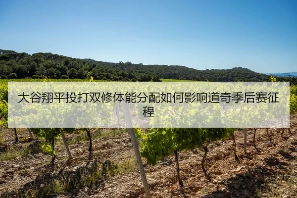 大谷翔平投打双修体能分配如何影响道奇季后赛征程