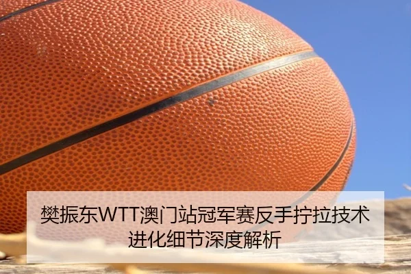 樊振东WTT澳门站冠军赛反手拧拉技术进化细节深度解析