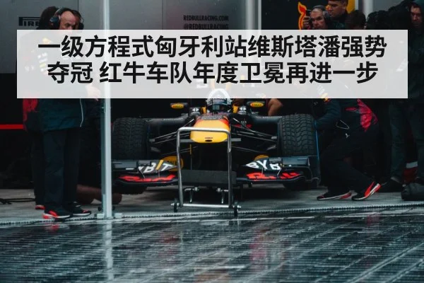 Max Verstappen Red Bull