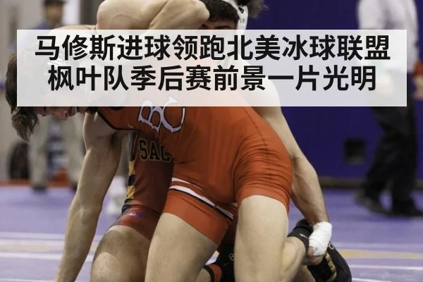 马修斯进球领跑北美冰球联盟枫叶队季后赛前景一片光明